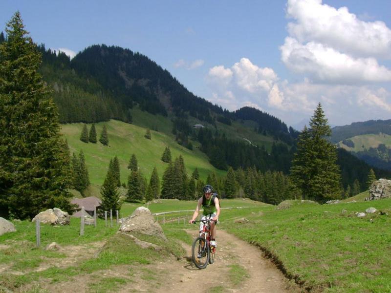 Murmeli * Eigenthal